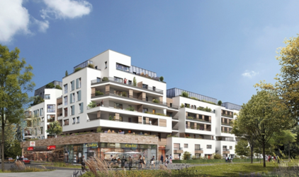 construction savigny